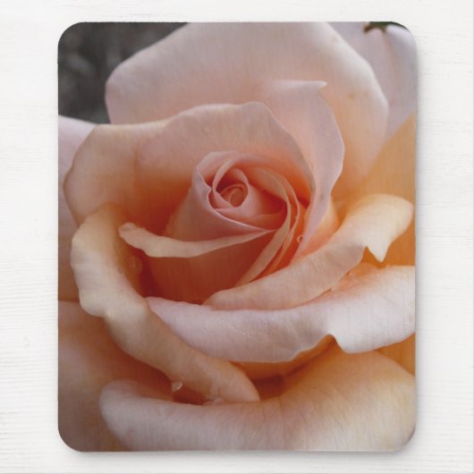 Roze Rose Muismat (Voorkant)