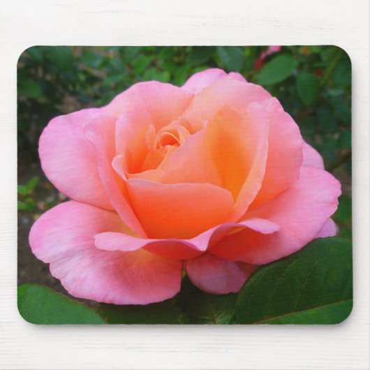 Roze Rose Muismat (Voorkant)