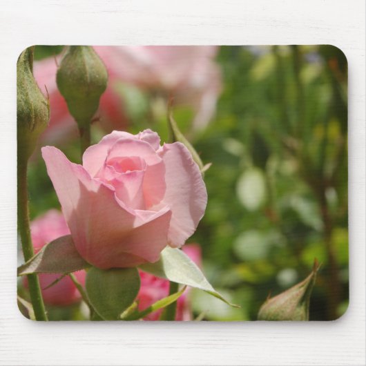 Roze Rose Muismat (Voorkant)