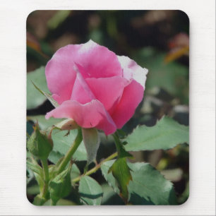 Roze Rose Muismat
