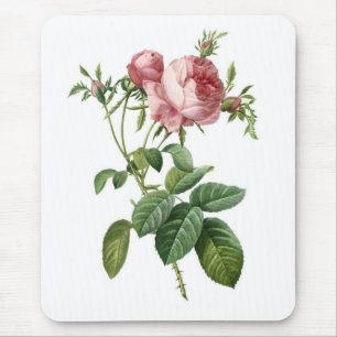 Roze Rose Muismat