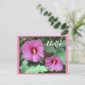Roze Rose of Sharon Flower Hallo Briefkaart (Staand voorkant)