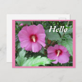 Roze Rose of Sharon Flower Hallo Briefkaart (Voorkant / Achterkant)