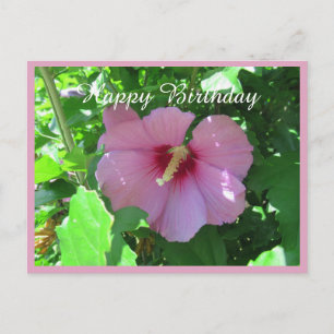 Roze Rose of Sharon Foto Birthday Briefkaart