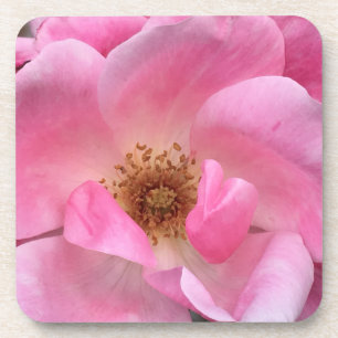 Roze Rose Onderzetter