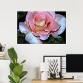 Roze Rose op Canvas Print (Thuiskantoor)