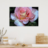 Roze Rose op Canvas Print (Keuken)