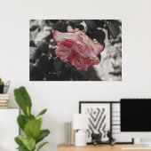 Roze Rose op zwarte en witte achtergrond Foto Poster (Thuiskantoor)