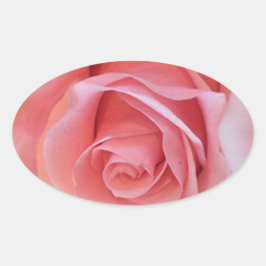 Roze Rose Ovale Sticker