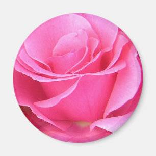 Roze Rose Petals aanpasbare magneet