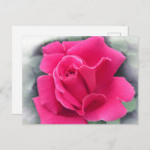 Roze Rose Petals Briefkaart (Voorkant / Achterkant)