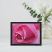 Roze Rose Petals Briefkaart (Staand voorkant)