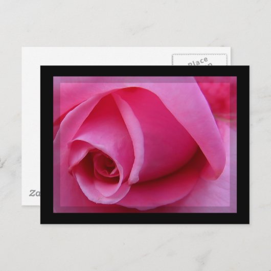 Roze Rose Petals Briefkaart (Voorkant / Achterkant)