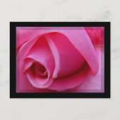 Roze Rose Petals Briefkaart (Voorkant)