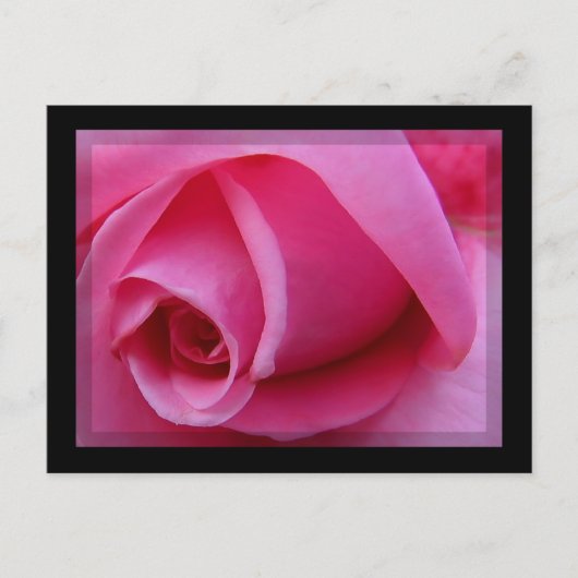 Roze Rose Petals Briefkaart (Voorkant)