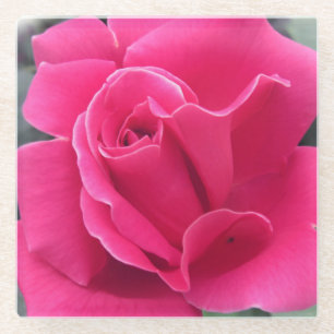 Roze Rose Petals Glazen Onderzetter