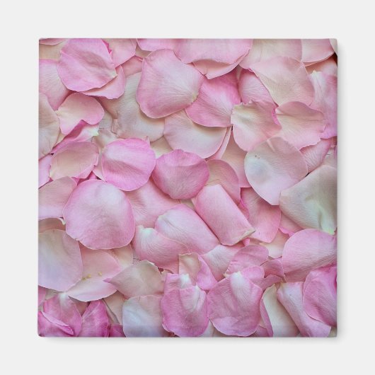Roze Rose Petals Magneet (Voorkant)