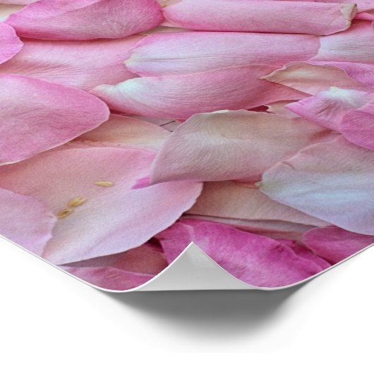 Roze Rose Petals Poster (Hoek)