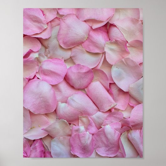 Roze Rose Petals Poster (Voorkant)