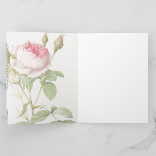 Roze Rose Pierre-Joseph Redoute Wenskaart Kaart (Binnen)