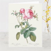 Roze Rose Pierre-Joseph Redoute Wenskaart Kaart (Gele Bloem)