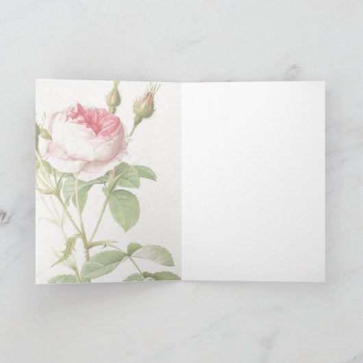 Roze Rose Pierre-Joseph Redoute Wenskaart Kaart (Binnen)