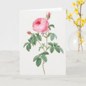 Roze Rose Pierre-Joseph Redoute Wenskaart Kaart (Gele Bloem)