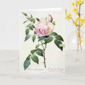 Roze Rose Pierre-Joseph Redoute Wenskaart Kaart (Gele Bloem)