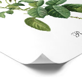 Roze Rose Pierre Redoute Botanical Poster (Hoek)