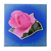 Roze Rose Pop uit Floral Art Tile Tegeltje (Voorkant)