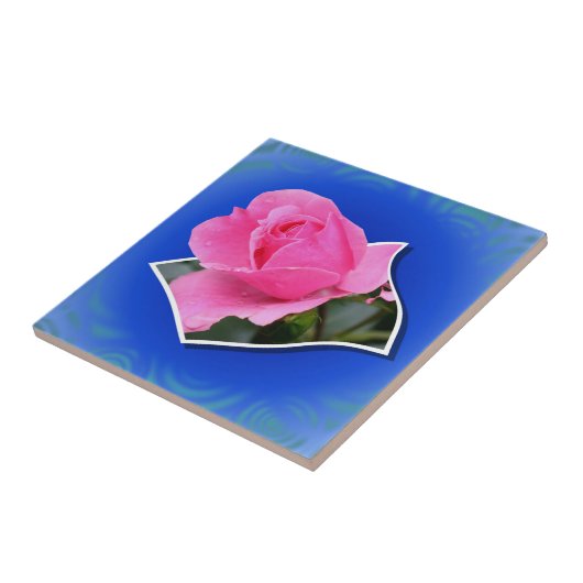 Roze Rose Pop uit Floral Art Tile Tegeltje (Zijkant)