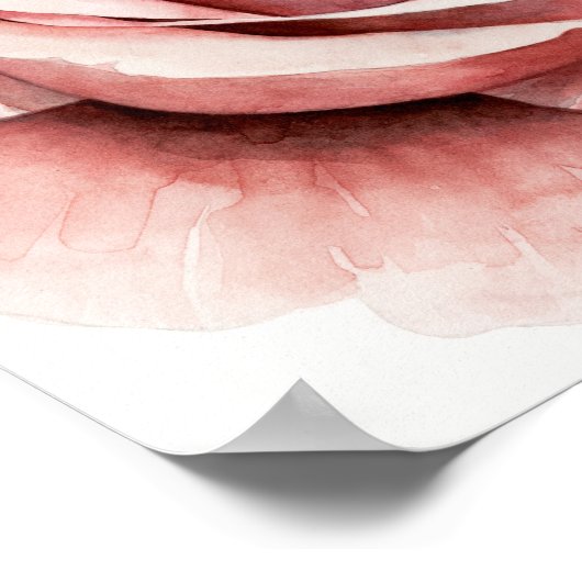 Roze Rose Poster (Hoek)