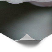 Roze Rose Poster (Hoek)