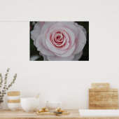 Roze Rose Poster (Keuken)
