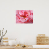 Roze Rose Poster (Keuken)