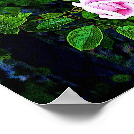 Roze Rose Poster (Hoek)