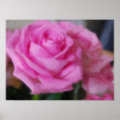Roze Rose Poster (Voorkant)