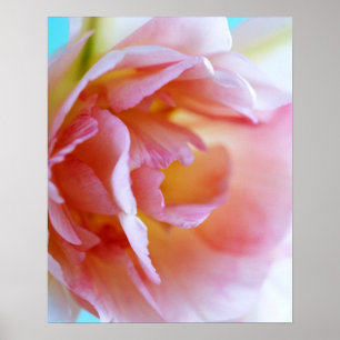Roze Rose Poster