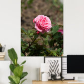 Roze Rose Poster (Thuiskantoor)