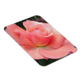 Roze Rose Premium magneet (Rechterzijde)