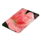 Roze Rose Premium magneet (Linkerzijde)
