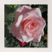 Roze Rose Puzzle, 676 stuks Legpuzzel (Horizontaal)