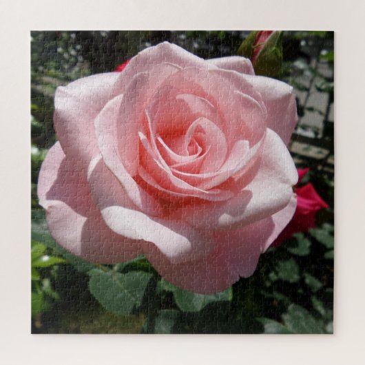 Roze Rose Puzzle, 676 stuks Legpuzzel (Verticaal)