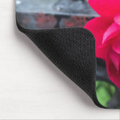 Roze Rose Raindrops Dew Garden Gate Foto Muismat (Hoek)