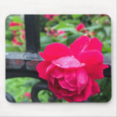 Roze Rose Raindrops Dew Garden Gate Foto Muismat (Voorkant)