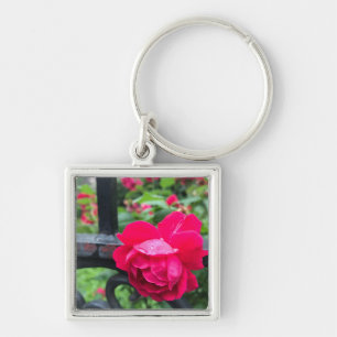 Roze Rose Raindrops Dew Garden Gate Foto Sleutelhanger