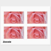 Roze Rose Rechthoekige Sticker (Vel)