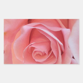 Roze Rose Rechthoekige Sticker