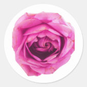 Roze Rose Ronde Sticker (Voorkant)