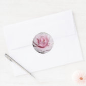 Roze Rose Ronde Sticker (Envelop)